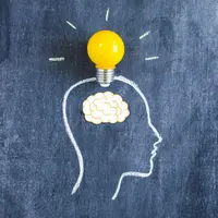 Основы нейронаук для начинающих. Часть 3. Уровень — мозг