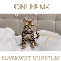 Бенгальский котёнок в смешанной технике