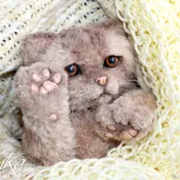 Мастер-класс Котята