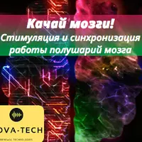 Качай мозги. Режим молодости