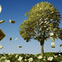 Денежное дерево