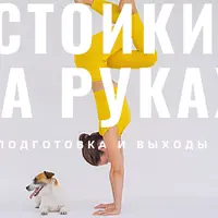 Стойки на руках: от нуля. Подготовка и выходы. Подготовка рук к стойкам