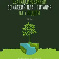 Сбалансированный веганский рацион питания