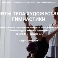 Элементы тела художественной гимнастики