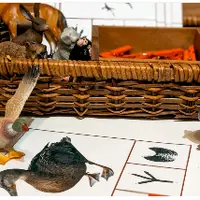 Игры с прищепками