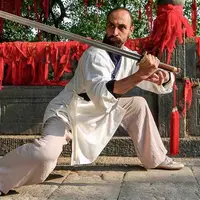 Уданские боевые искусства и цигун