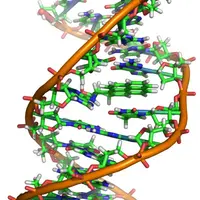 Введение в эволюционную биологию