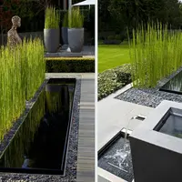 Вода в вашем саду: создание искусственного источника