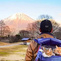 Бытовая культура Японии. Часть 2