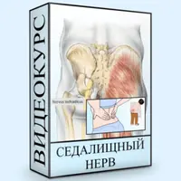 Седалищный нерв