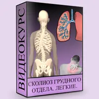 Сколиоз грудного отдела. Лёгкие