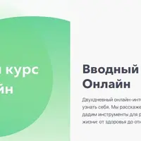 Вводный курс Psy2.0