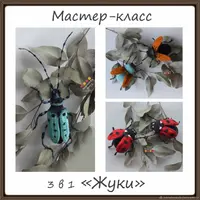 Мастер-класс 3 в 1 Жуки