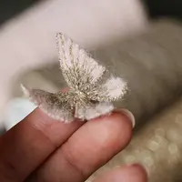 Онлайн мастер-класс Роза