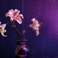 Абонемент. Как снимать красиво обычные вещи