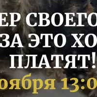 Я мастер своего дела и мне за это хорошо платят