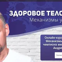 Здоровое тело. Механизмы управления