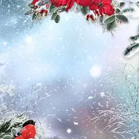 Фотошаблон "Венок с пуансеттией"