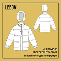 Мужской пуховик Lebovi 503