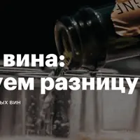 Игристые вина: почувствуем разницу