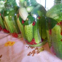 Натуральная консервация без уксуса