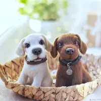 Мастер-класс Собака лабрадор