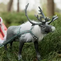 Северный олень