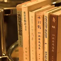 Лексика японского языка