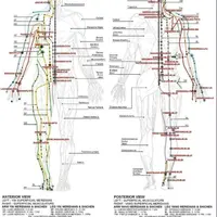 Tong Ren Automated - расширенное лечение