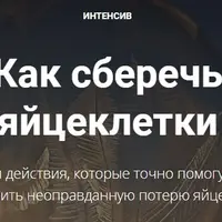 Как сберечь яйцеклетки