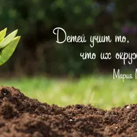 Карточки Монтессори. Развитие речи