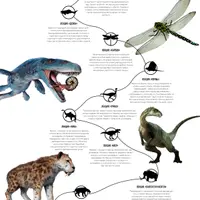 Палеонтология