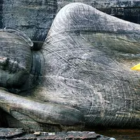 Йога нидра и основы медитации