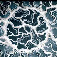 НейроМандала Полнолуния