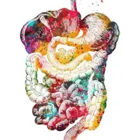 Здоровый ЖКТ