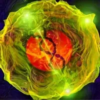 Умные стволовые клетки