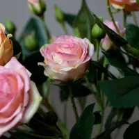 Веточка кустовых роз из полимерной глины