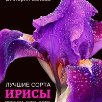 Ирисы, гортензии и гиацинты: лучшие сорта