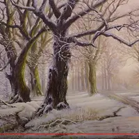 Морозный туман