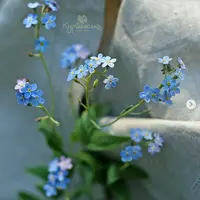 Незабудка из холодного фарфора