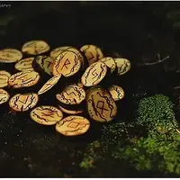 Рунический код. Расшифровка рун