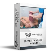 Миофасциальный релиз 2.0