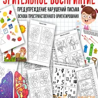 Зрительно-моторная координация и зрительное восприятие