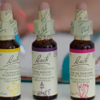 Психосоматическая цветочная терапия Эдварда Баха