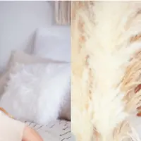 Гайд Поцелуй Гейши