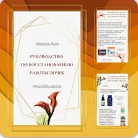 Руководство по восстановлению работы почек