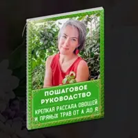 Пошаговое руководство: Крепкая рассада овощей и пряных трав от А до Я