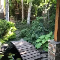 20 шагов к саду своей мечты