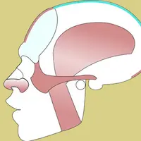 Мимические мышцы. Эмоции