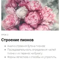 Пионы акварелью